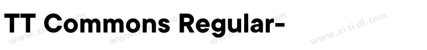 TT Commons Regular字体转换